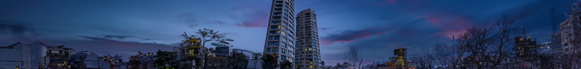 Real Estate